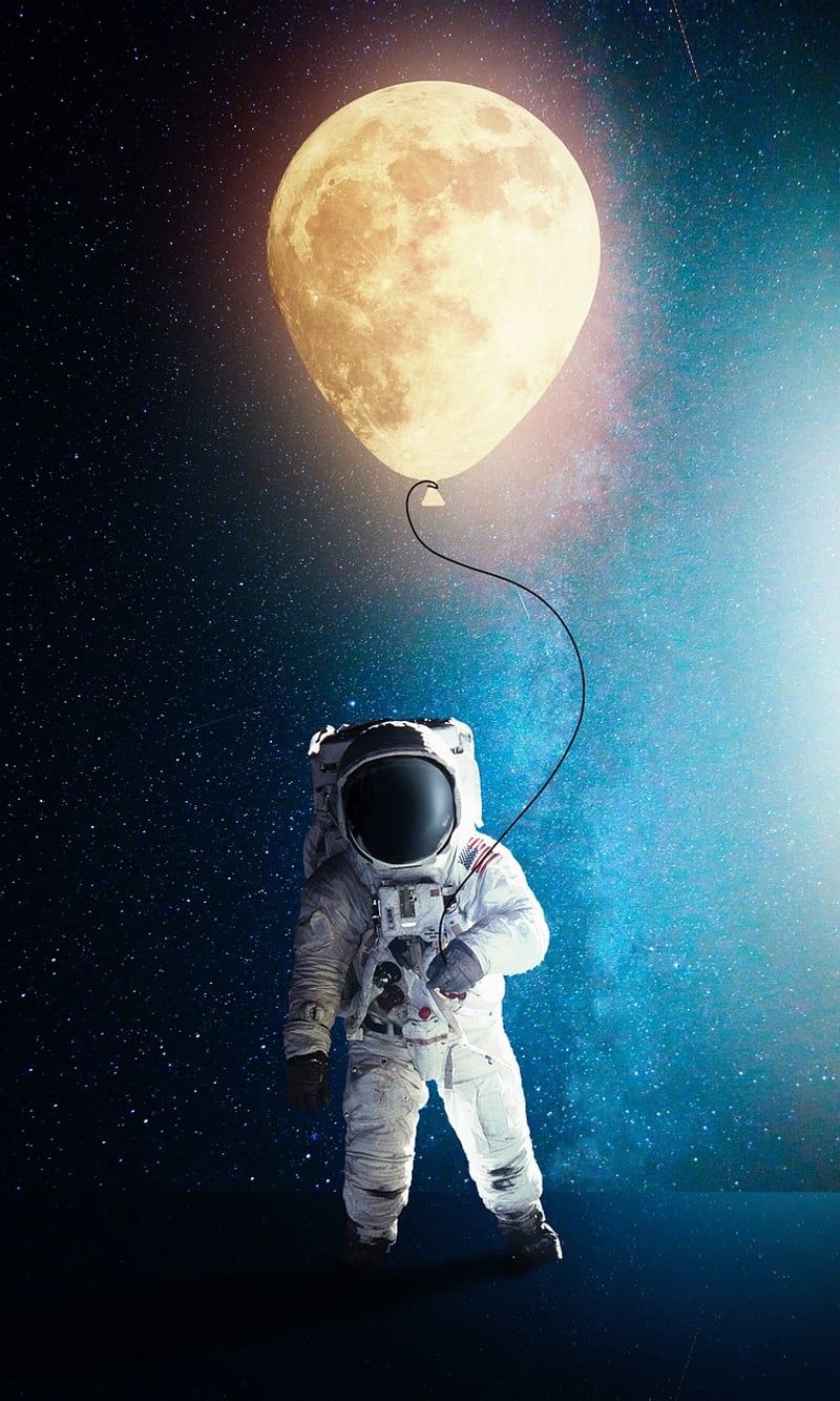 Astronaut's Delight